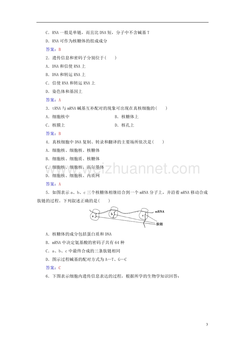 2017年高中生物第4章基因的表达第1节基因指导蛋白质的合成检测试题新人教版必修2.doc_第3页