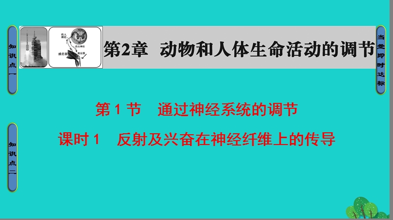 2017年高中生物第2章动物和人体生命活动的调节第1节通过神经系统的调节（课时1）反射及兴奋在神经纤维上的传导课件新人教版必修3.ppt_第1页
