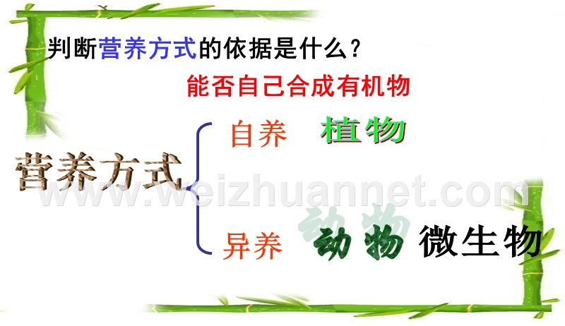 初中课件-新人教版初二八年级生物上册新人教版初二八年级生物上册5.4.2细菌-（五）.ppt_第3页