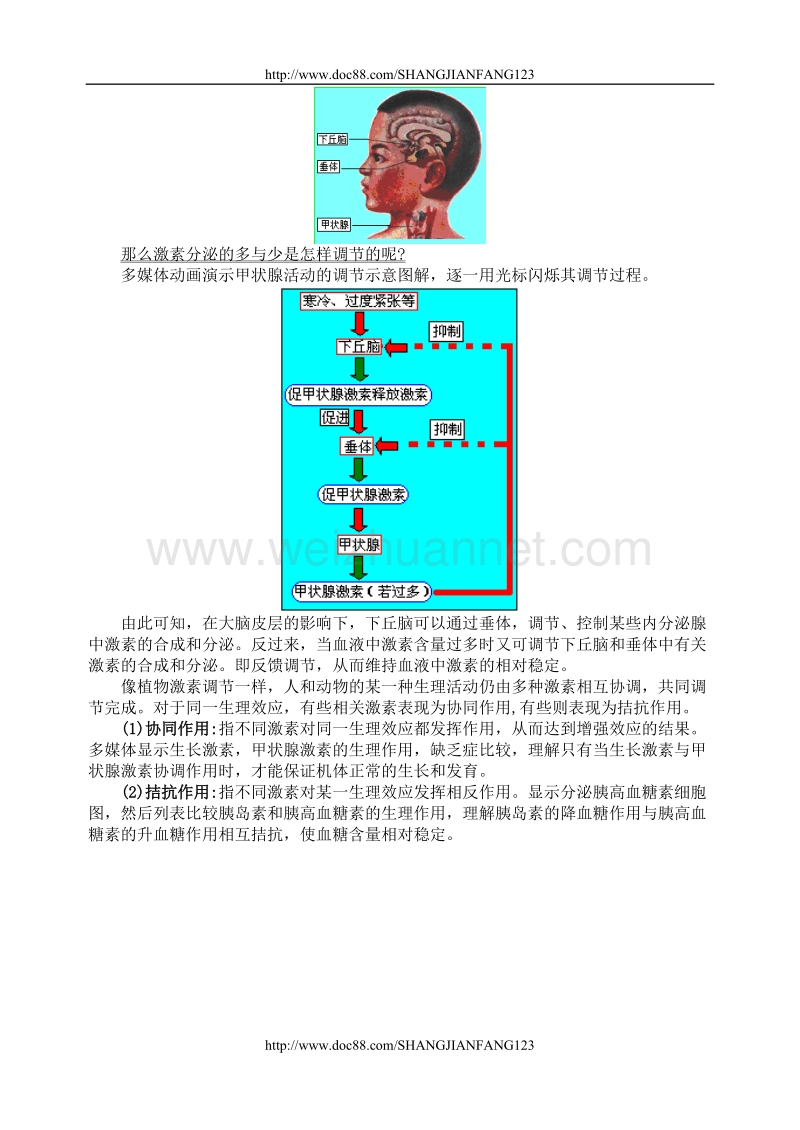 高二生物教案4.2.1体液调节.doc_第3页