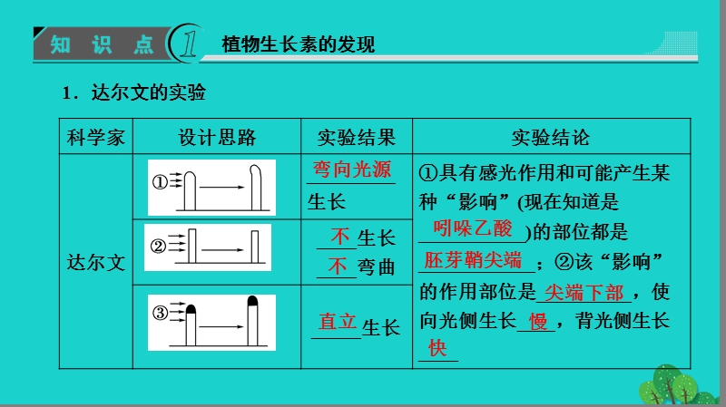 2017年高中生物第2章生物个体的稳态第4节植物生命活动的调节（第1课时）植物生长素的发现生长素的特性与生理作用课件苏教版必修3.ppt_第3页
