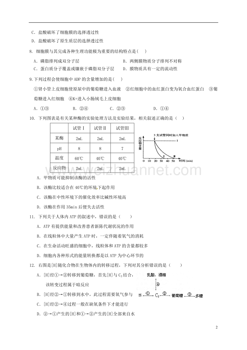 大石桥市2017届高三生物上学期期中试题.doc_第2页