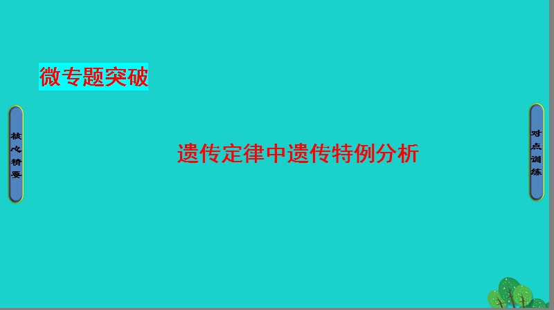 2017年高中生物第1章遗传因子的发现第2节孟德尔的豌豆杂交实验（二）微专题突破课件新人教版必修2.ppt_第1页