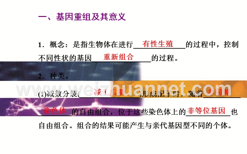 东省普通高中生物学业水平测试复习课件必修2-第9单元第1讲基因重组及其意义、基因突变的特征和原因.ppt_第3页