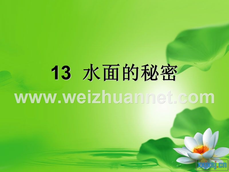 13---水面的秘密.ppt_第1页