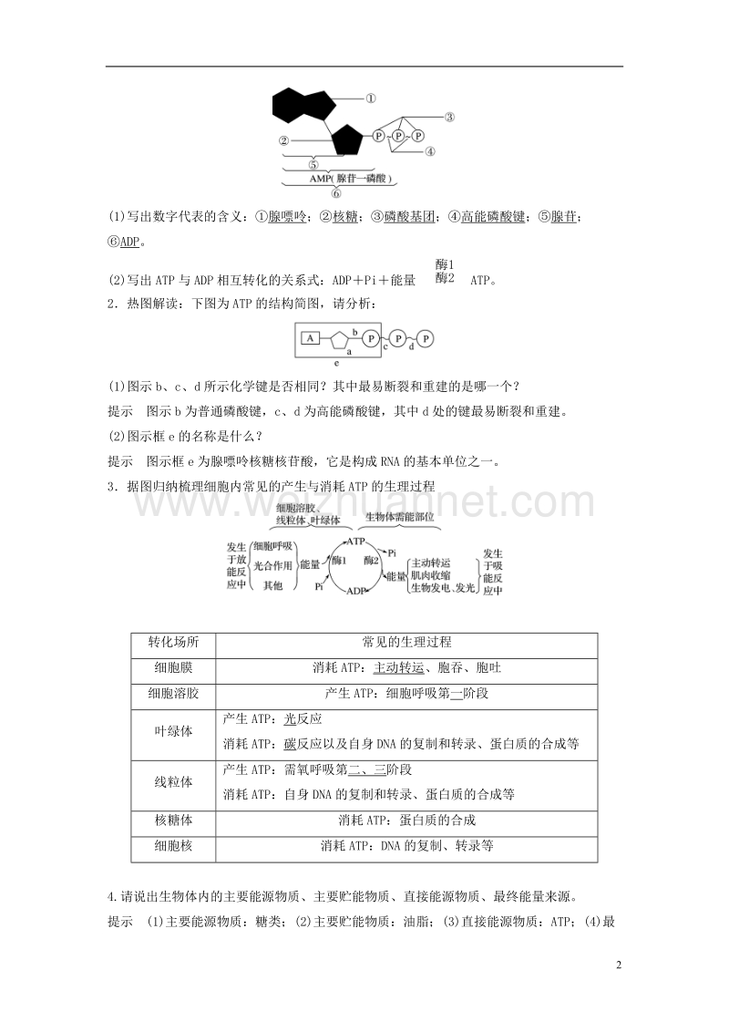 2018版高考生物总复习第2单元细胞的代谢第6讲atp和酶.doc_第2页