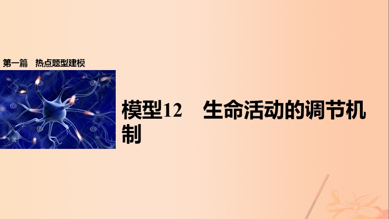 2017年高考生物大二轮专题复习与增分策略热点题型建模模型12生命活动的调节机制课件.ppt_第1页