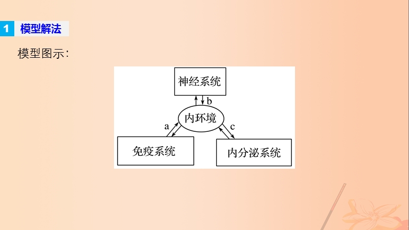 2017年高考生物大二轮专题复习与增分策略热点题型建模模型12生命活动的调节机制课件.ppt_第2页