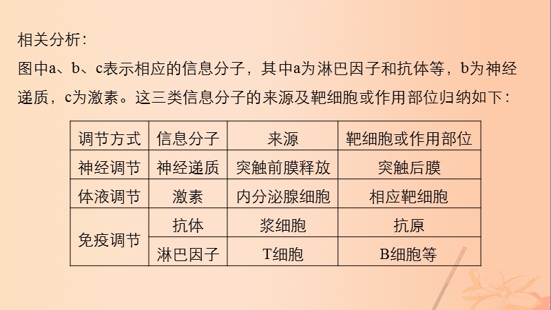 2017年高考生物大二轮专题复习与增分策略热点题型建模模型12生命活动的调节机制课件.ppt_第3页