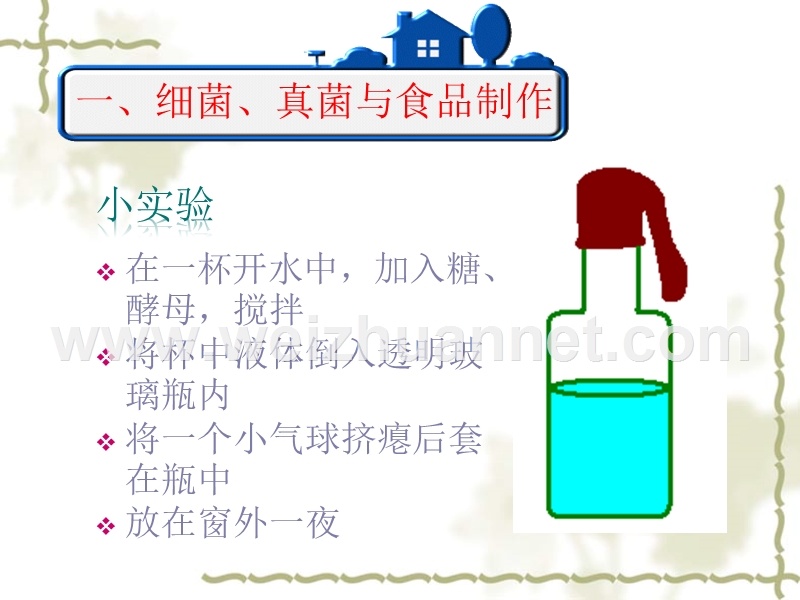 2017人教版八年级上册第五单元第四章第五节人类对细菌和真菌的利用课件1.ppt.ppt_第3页