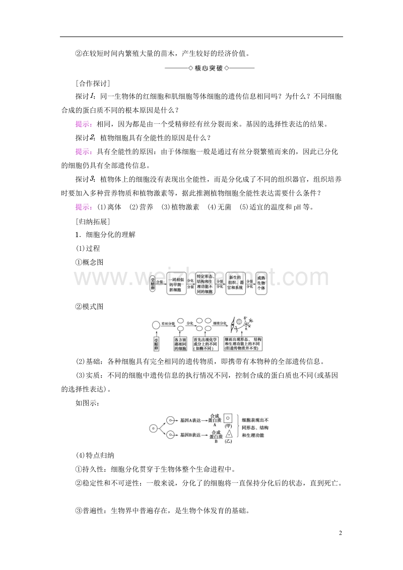 2017年高中生物第5章细胞增殖、分化、衰老和凋亡第2节细胞分化、衰老和凋亡学案苏教版必修1.doc_第2页