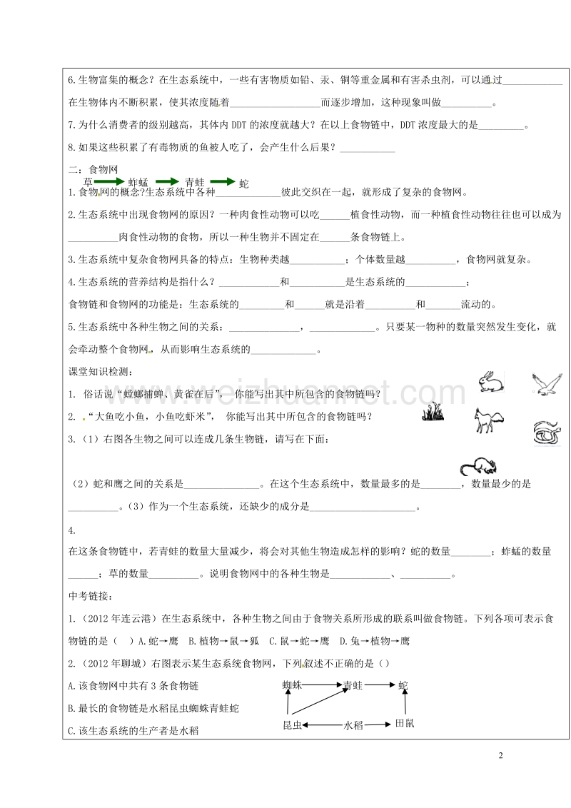 广饶县八年级生物下册 6.2.2 食物链和食物网学案3（无答案）（新版）济南版.doc_第2页