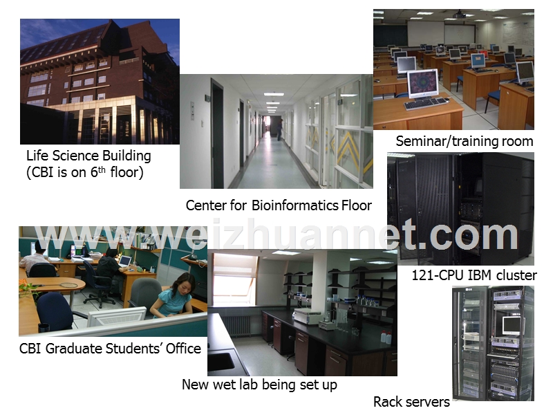 center-for-bioinformatics-(cbi)-北京大学生物信息中心.ppt_第3页