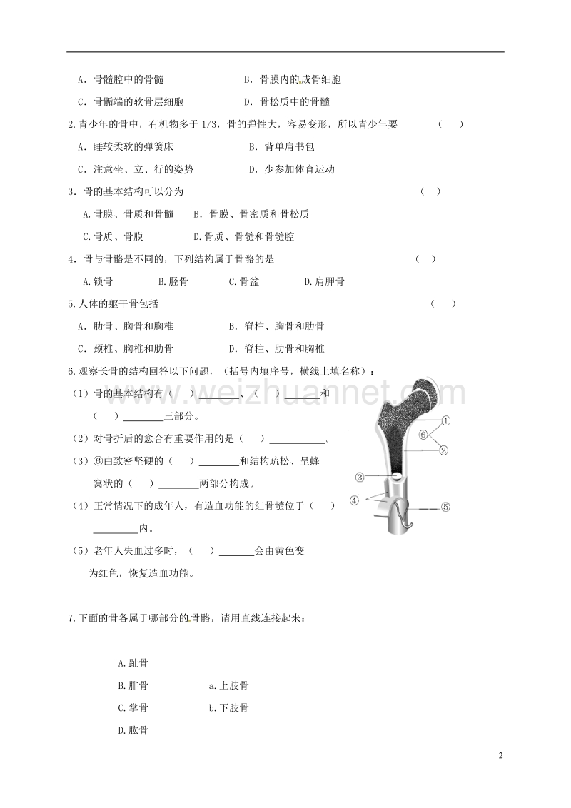 丹徒县八年级生物上册 第17章 动物的运动与行为学案（无答案）（新版）苏科版.doc_第2页