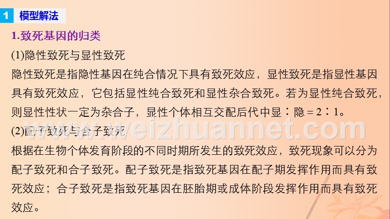 2017年高考生物大二轮专题复习与增分策略热点题型建模模型8遗传中致死问题的归类剖析课件.ppt_第2页