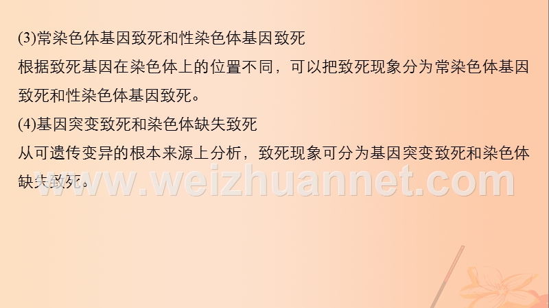 2017年高考生物大二轮专题复习与增分策略热点题型建模模型8遗传中致死问题的归类剖析课件.ppt_第3页