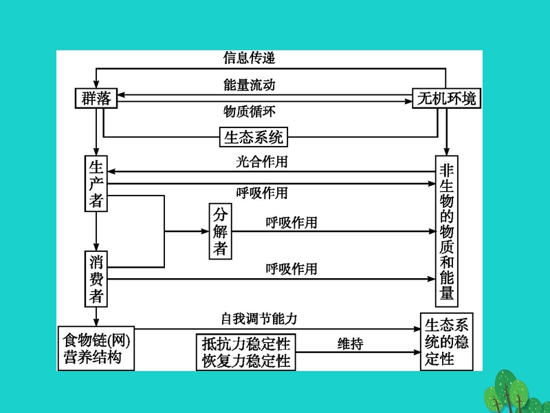 2017年高中生物第5章生态系统及其稳定性章末整合提升课件新人教版必修3.ppt_第2页