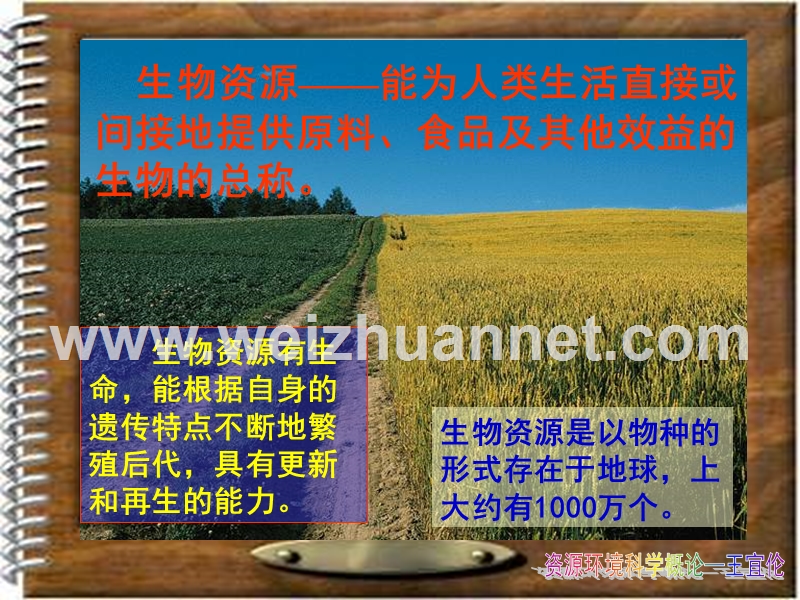 5生物资源开发利用ppt.ppt_第3页