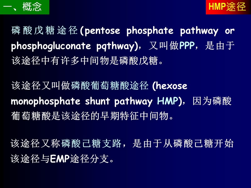 南京农业大学生化课件磷酸戊糖途径5-8-4.ppt_第3页