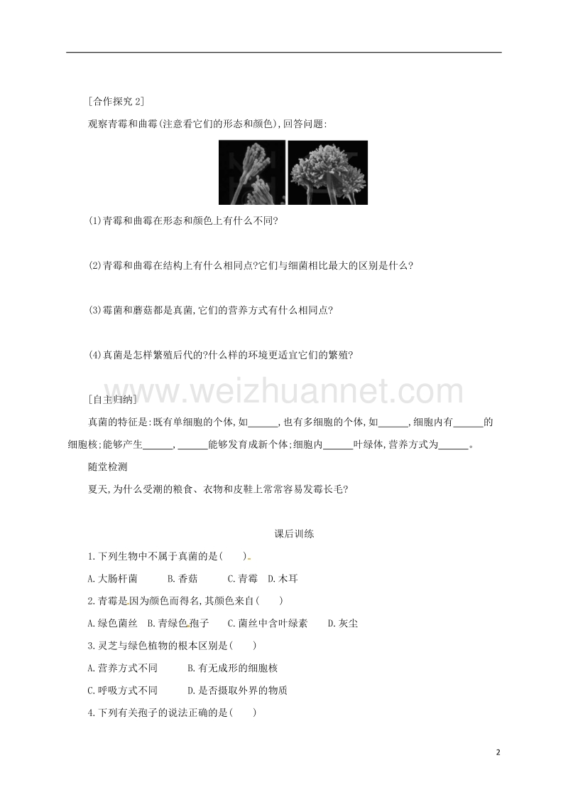 乌海市第二十二中学八年级生物上册 5.4.3 真菌学案设计（二）（新版）新人教版.doc_第2页