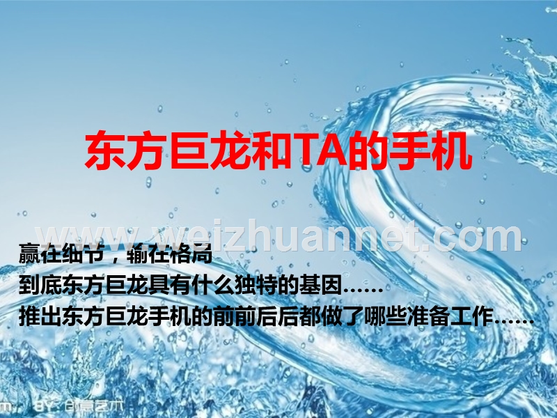 假如我是东方巨龙手机公司的老板.ppt_第2页