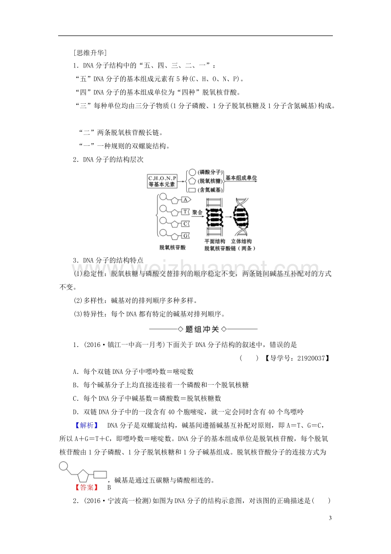 2017年高中生物第4章遗传的分子基础第2节dna分子的结构和复制（第1课时）dna分子的结构学案苏教版必修2.doc_第3页