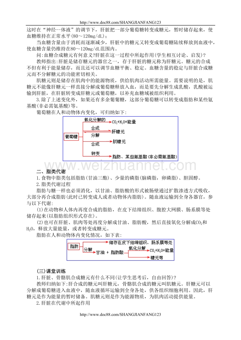 高二生物教案3.6三大营养物质代谢.doc_第3页