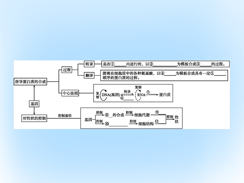 2017年高中生物第4章基因的表达本章整合素材新人教版必修2.ppt_第2页