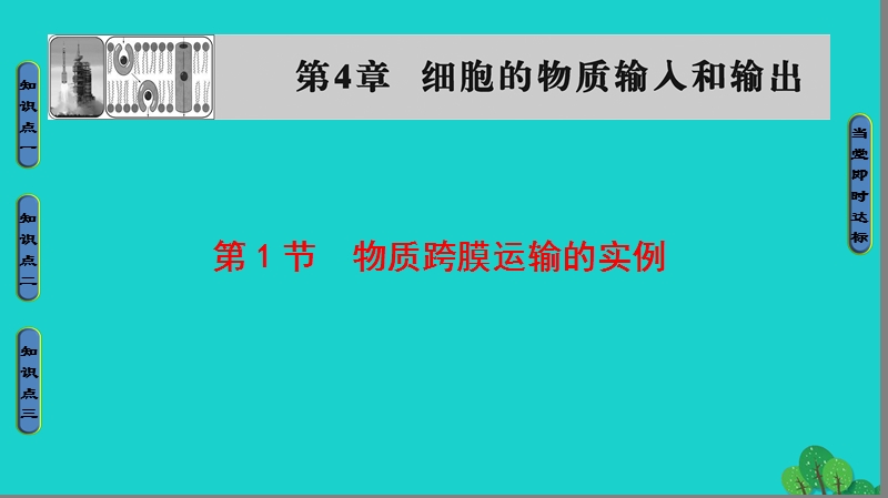 2017年高中生物第4章细胞的物质输入和输出第1节物质跨膜运输的实例课件新人教版必修1.ppt_第1页