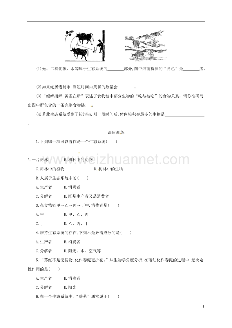 乌海市第二十二中学七年级生物上册 1.2.2 生物与环境组成生态系统学案设计 （新版）新人教版.doc_第3页