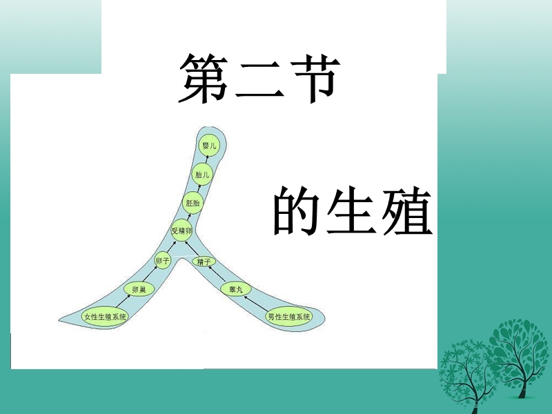 定西市七年级生物下册 4.1.2 人的生殖课件 新人教版.ppt_第2页