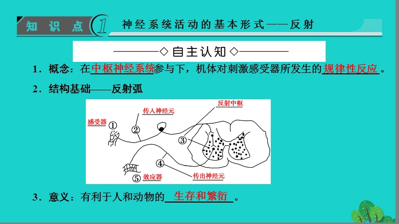 2017年高中生物第2章动物生命活动的调节第2节神经系统的结构与功能（二）课件浙科版必修3.ppt_第3页