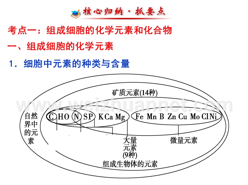 2018届一轮复习2-1、5-细胞中的元素、化合物、细胞中的无机物-（一）.ppt_第3页