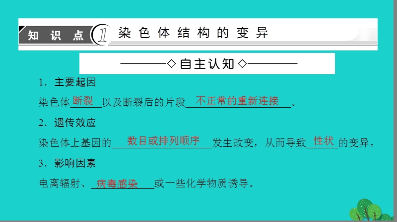 2017年高中生物第3章遗传和染色体第3节基因的自由组合定律课件苏教版必修2.ppt_第3页