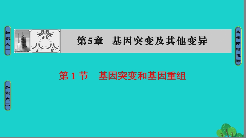 2017年高中生物第5章基因突变及其他变异第1节基因突变和基因重组课件新人教版必修2.ppt_第1页