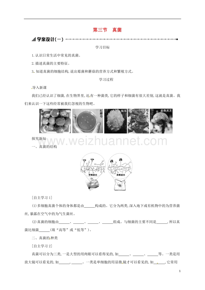 乌海市第二十二中学八年级生物上册 5.4.3 真菌学案设计（一）（新版）新人教版.doc_第1页