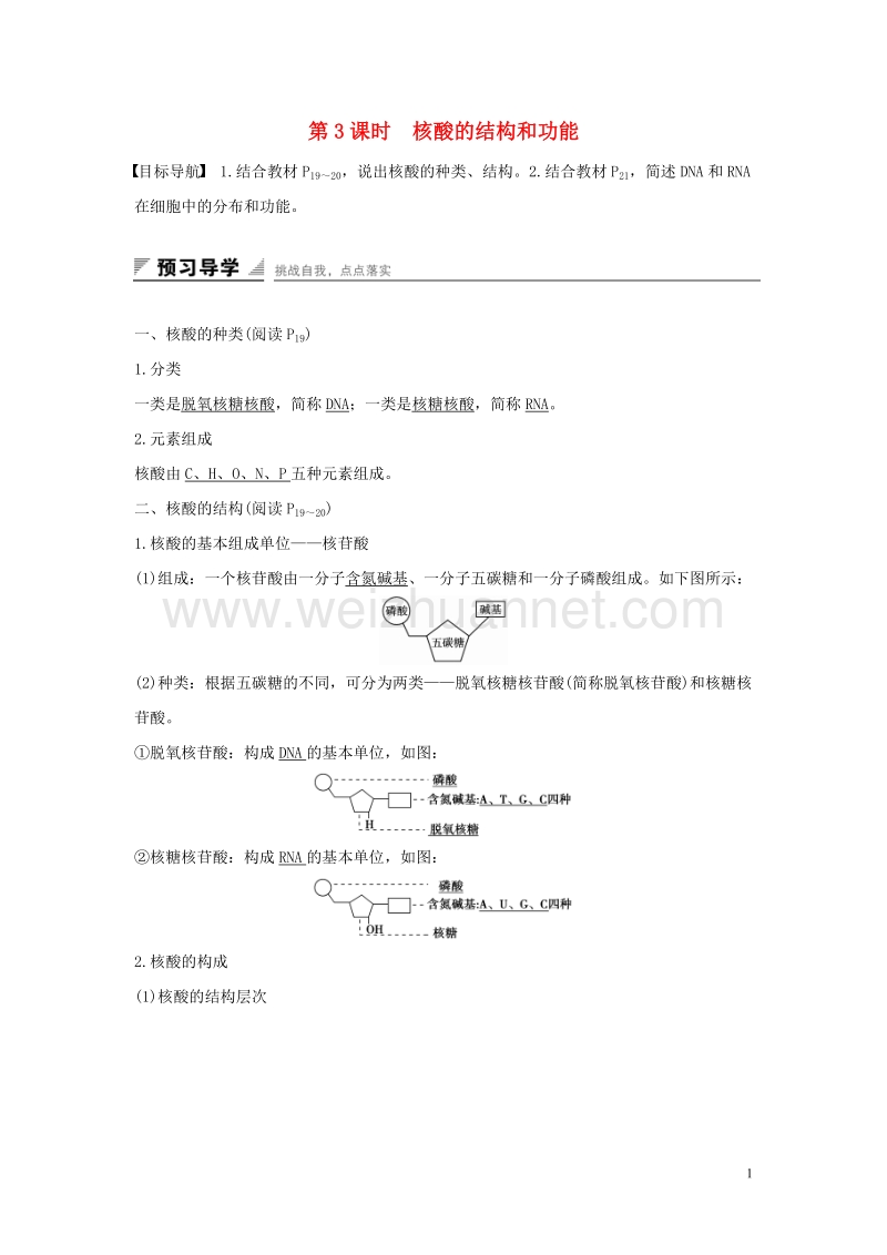 2017年高中生物第二章细胞的化学组成第二节细胞中的生物大分子（第3课时）核酸的结构和功能练习苏教版必修1.doc_第1页