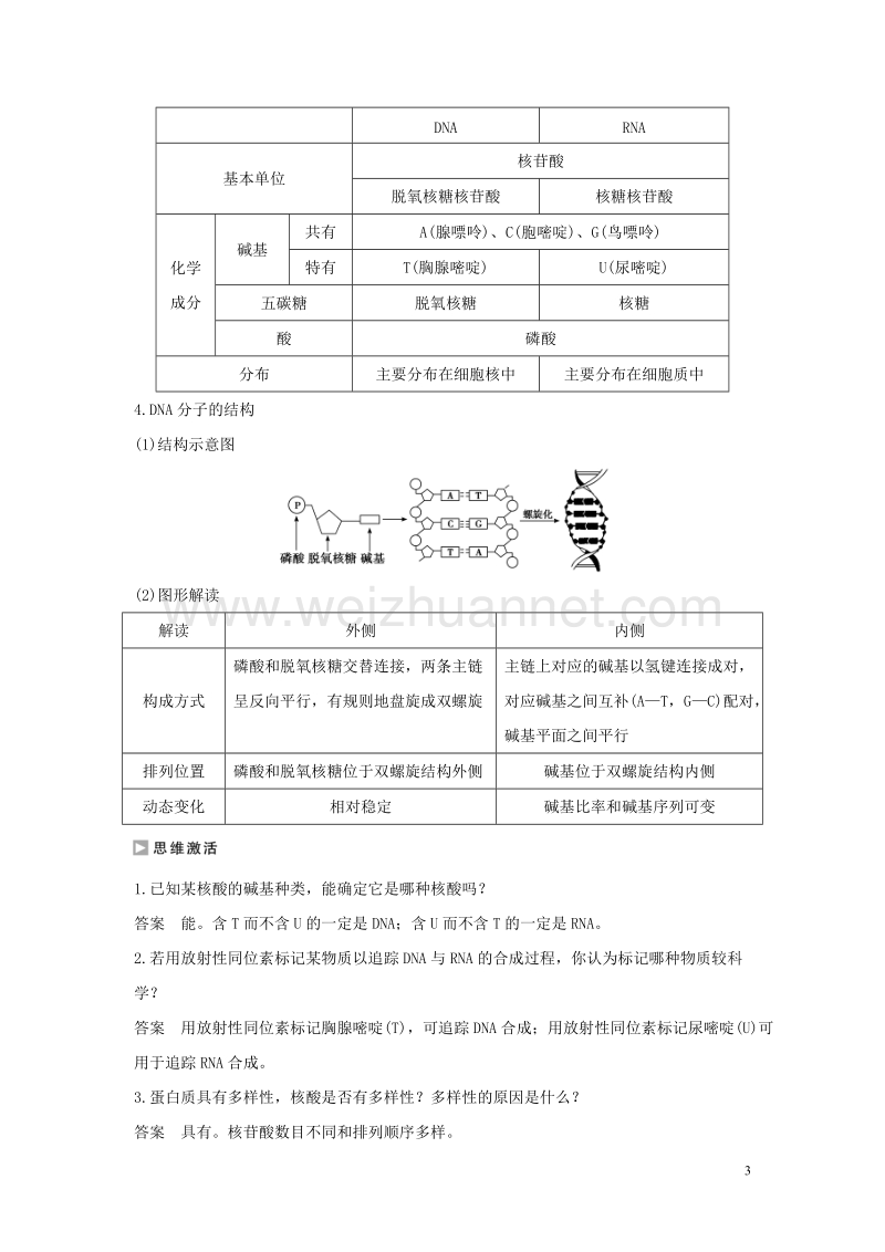 2017年高中生物第二章细胞的化学组成第二节细胞中的生物大分子（第3课时）核酸的结构和功能练习苏教版必修1.doc_第3页