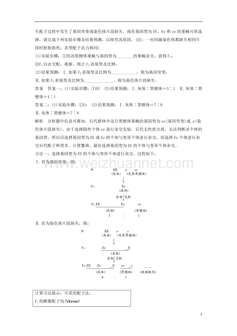 【步步高】（通用版）2017高考生物大二轮专题复习与增分策略 热点题型建模 模型9 利用“假说—演绎法”解决生物变异实验探究题.doc_第2页