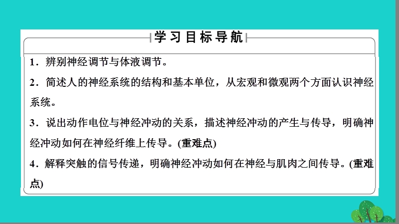 2017年高中生物第2章动物生命活动的调节第2节神经系统的结构与功能（一）课件浙科版必修3.ppt_第2页