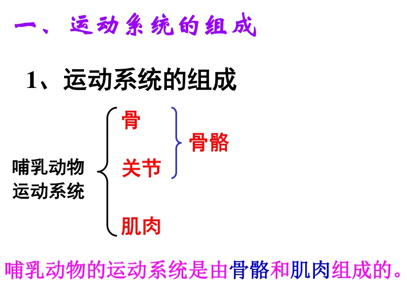 运动的基础及完成.ppt_第3页