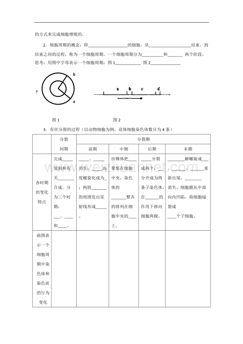 高中生物导学案：第四单元第一章第一节《细胞的增殖》（中图版必修1）   word版含答案.doc_第2页