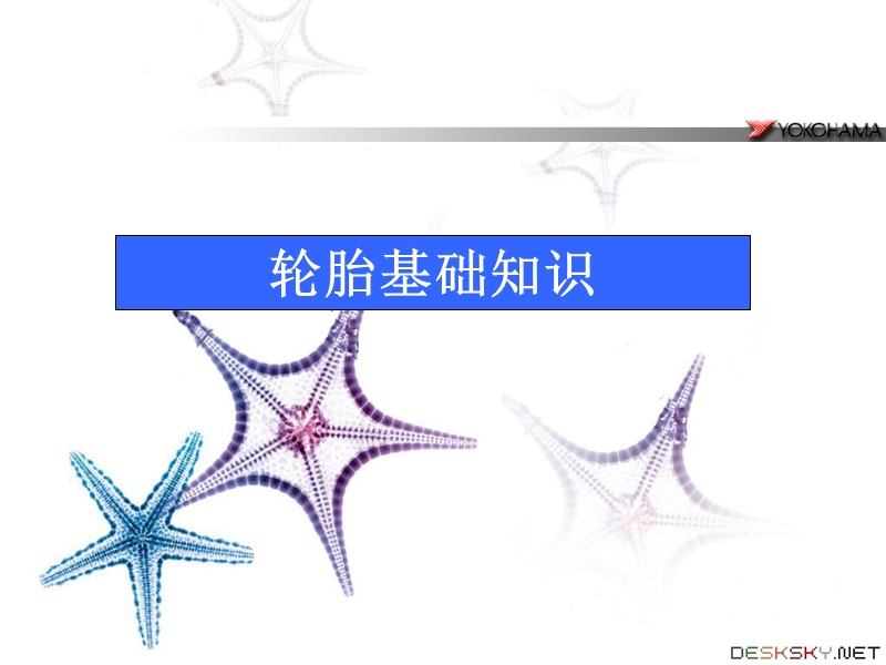 汽车轮胎培训资料.ppt.ppt_第1页