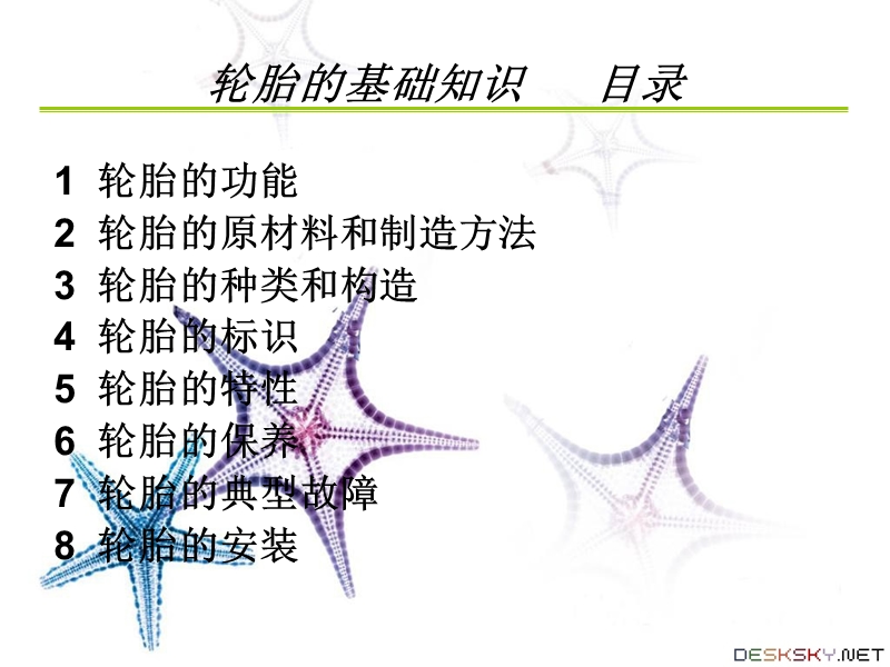 汽车轮胎培训资料.ppt.ppt_第2页