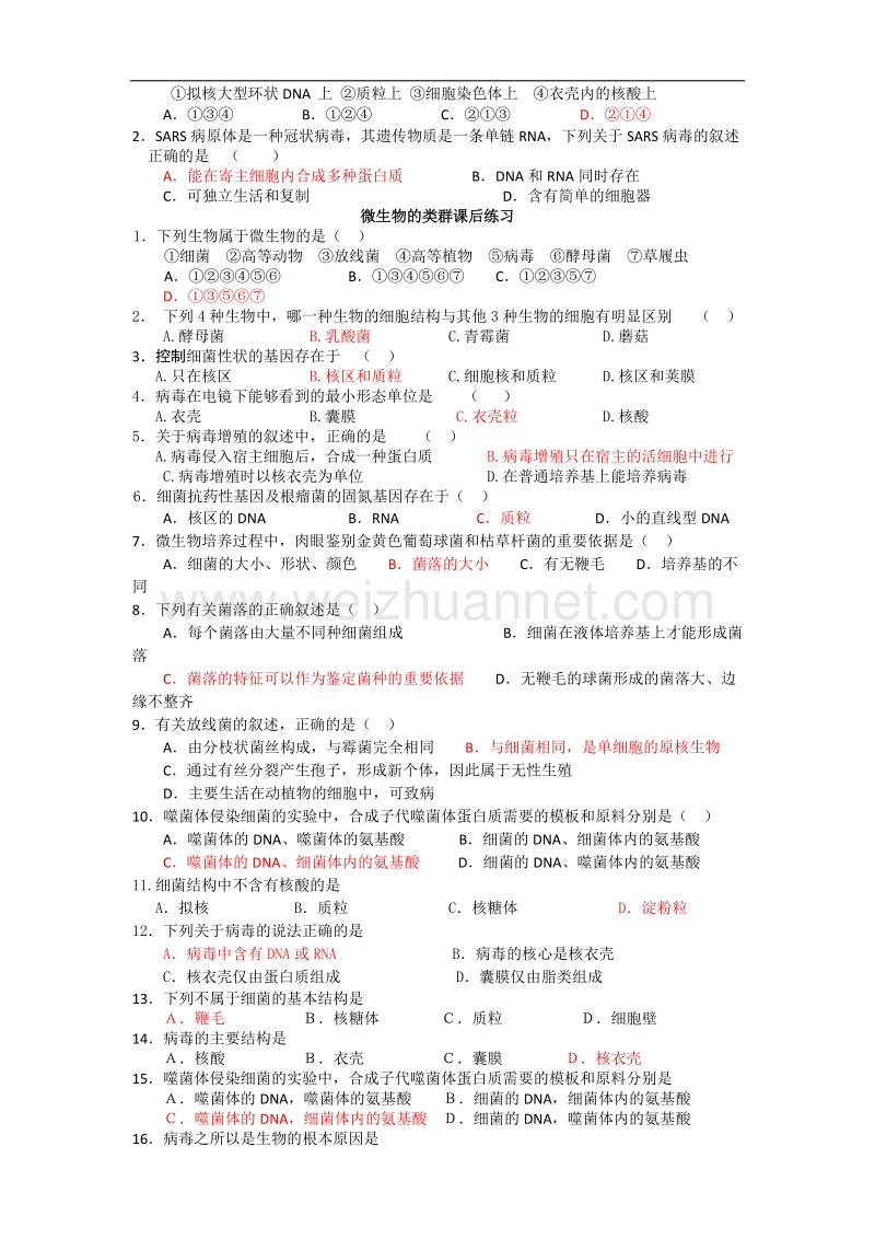 生物：5.1《微生物的类群》学案（旧人教选修）.doc_第3页