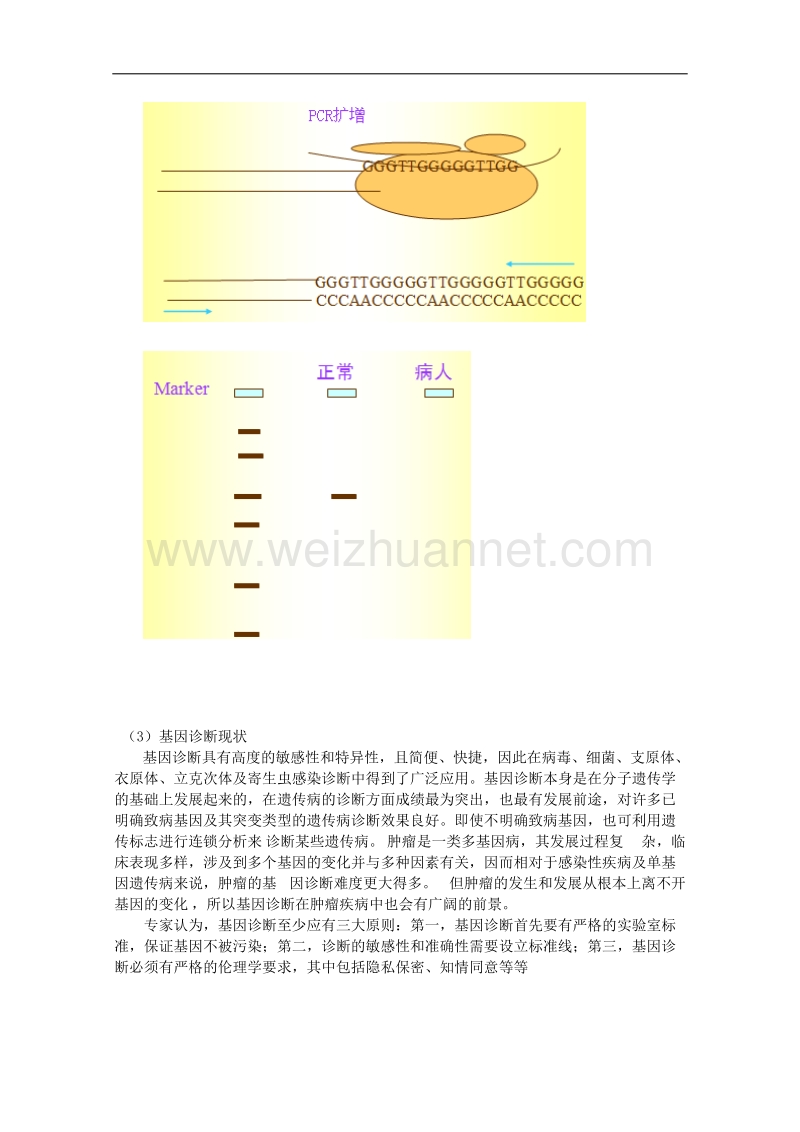 生物：中图版选修二 3.1.1 基因诊断和基因治疗（教案）.doc_第2页