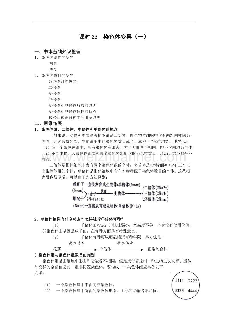 染色体变异（一）.doc_第1页