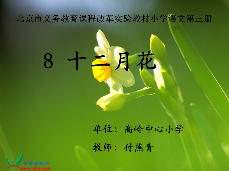 十二月花.ppt_第1页