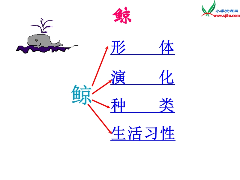 五年级语文上册 9.鲸课件 新人教版.ppt_第2页