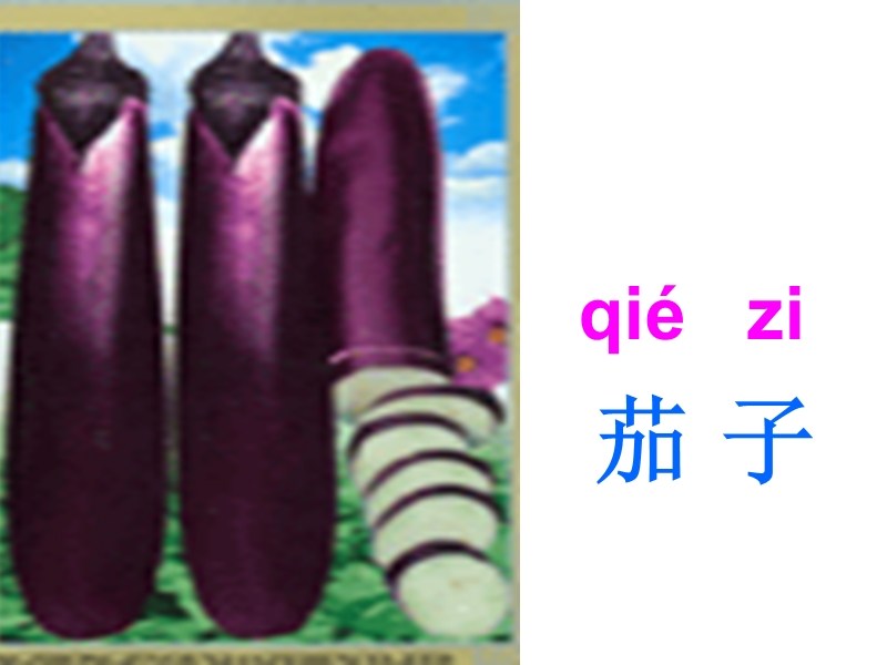 （人教新课标）一年级语文上册课件 菜园里 7.ppt_第3页